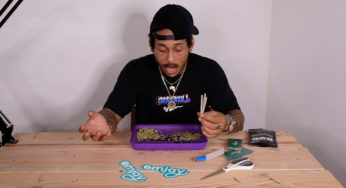 How To Roll A Braid Joint, Featuring Racks Hogan