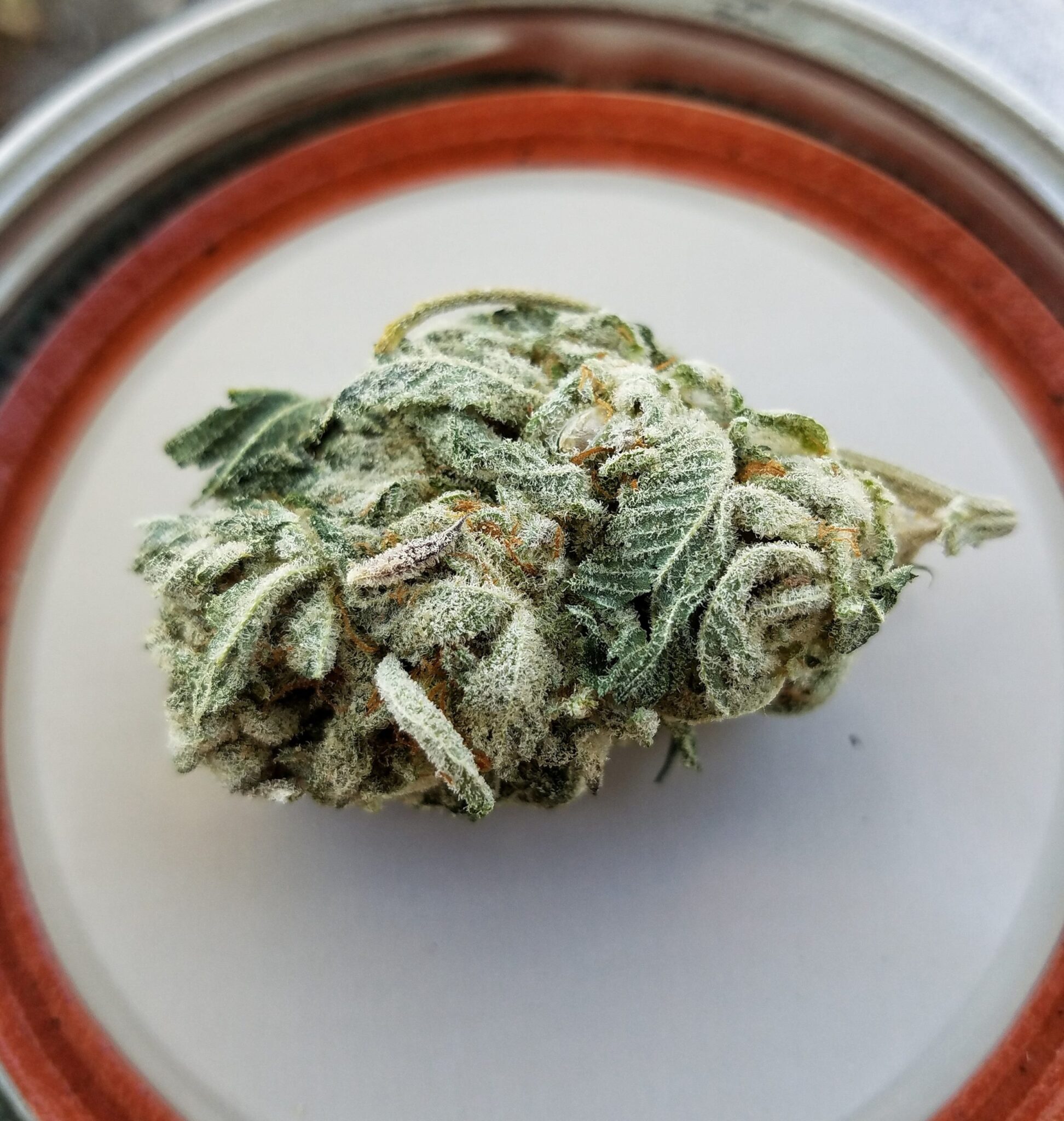 The 5 Best Sativa Strains of 2020
