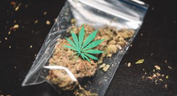 5 Cannabis Strains High In CBD