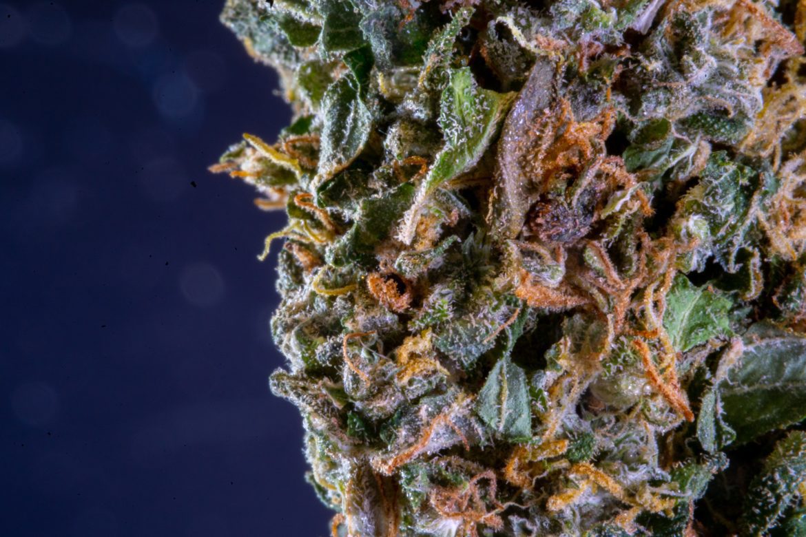 budherd-team-Jx8pRS_j8kk-unsplash