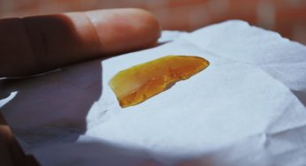 A Crash Course On Cannabis Shatter
