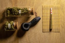 Product Review: Level's Indica Protab | Emjay Blog