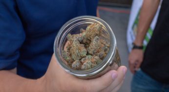 How Do You Get a Medical Marijuana License?