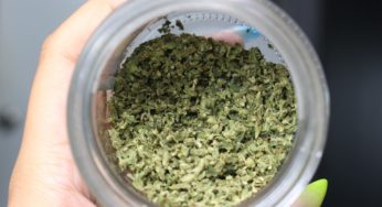 How to Decarboxylate Weed