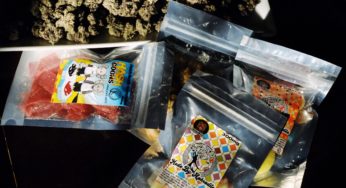 How Long Does It Take For Edibles To Kick In?