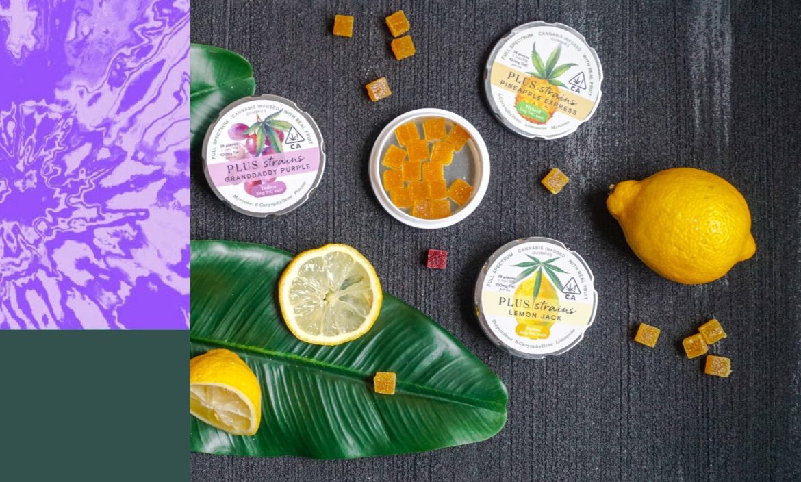 Emjay’s Edibles Guide. Photo by Elsa Olofsson Emjay's Edibles Guide. Photo by Elsa Olofsson