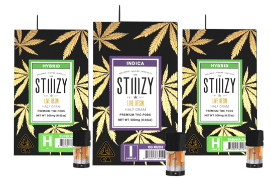 Emjay's Stiiizy Guide. Photo by Stiiizy.