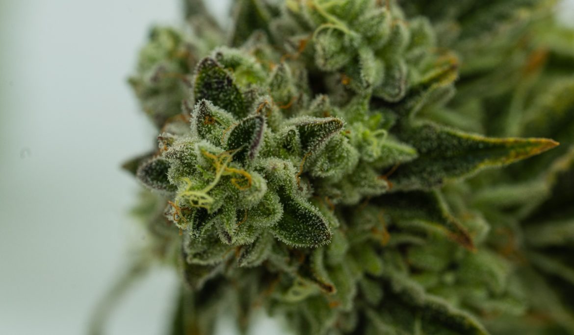 Badder, Butter, Batter by Emjay. Photo by Avery Meeker on Unsplash