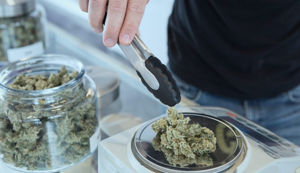 Emjay's Cannabis Amount Guide. Photo by Add Weed on Unsplash