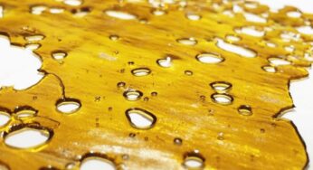 What Is Shatter And How Do You Use It?