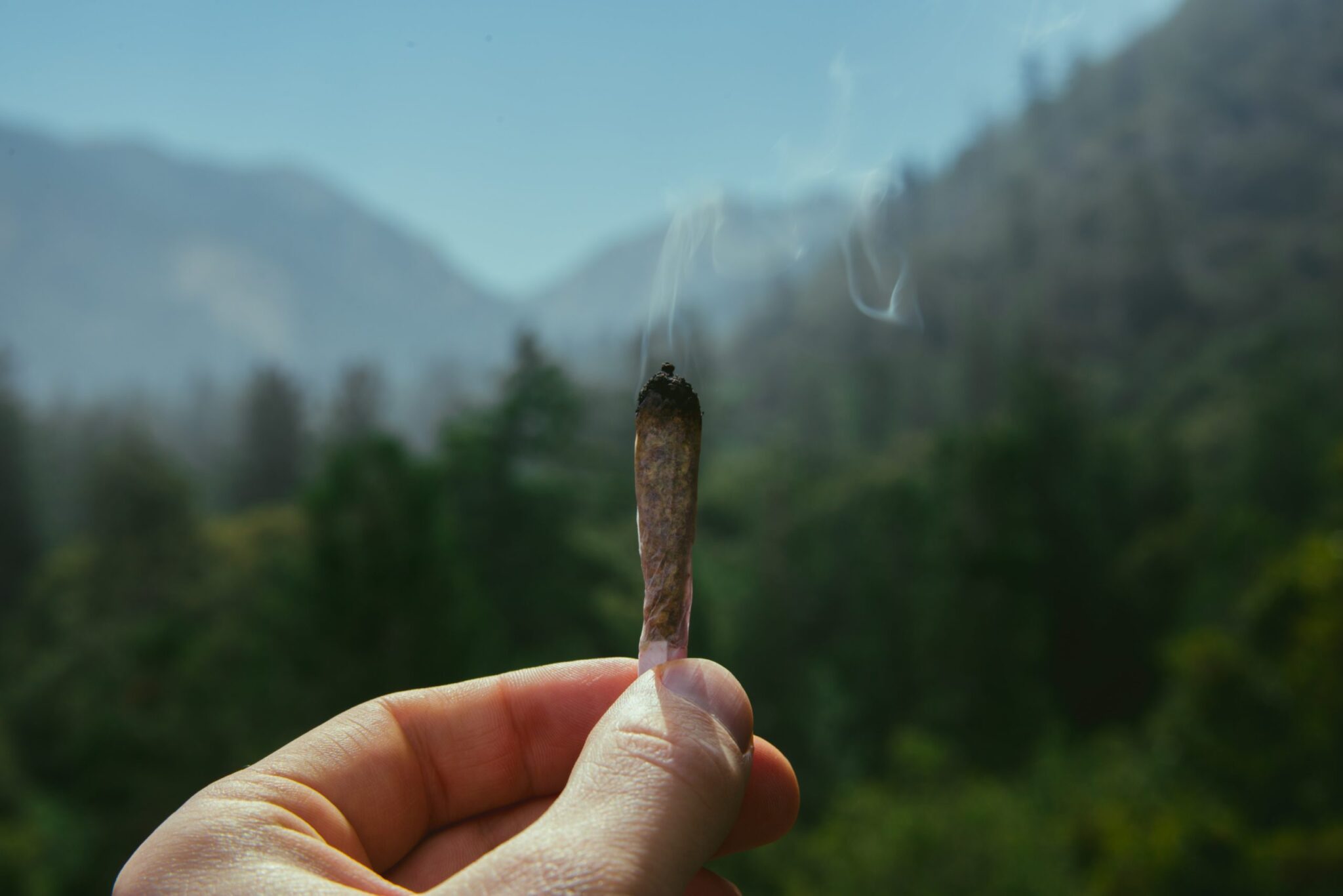 photo by jeff w on unsplash_Vaping vs. Smoking Weed: What are the Real Differences