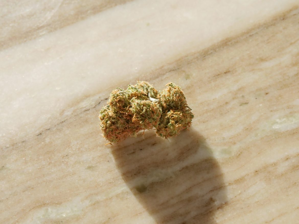 pexels-kindel-media-7773108 Close-Up Photo of Cannabis Flower on Top of Wooden Surface