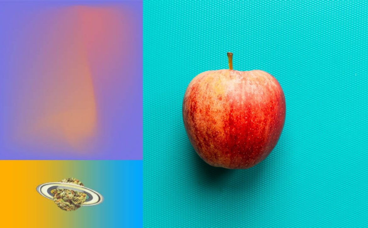 Emjay Household Items Pipes. Photo by Louis Hansel - Restaurant Photographer on Unsplash