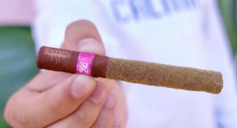 Cannabis Product Review: Packwoods Cherry AK-47 Blunt