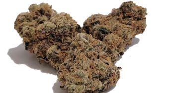 Cannabis Product Review: Run The Jewels and Lemonnade’s Ooh La La