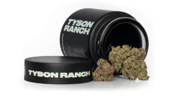Cannabis Product Review: Southern Toad from Tyson Ranch