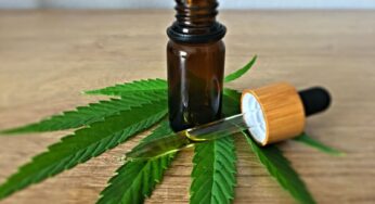 Full Spectrum CBD: What Is It and What Does It Mean?