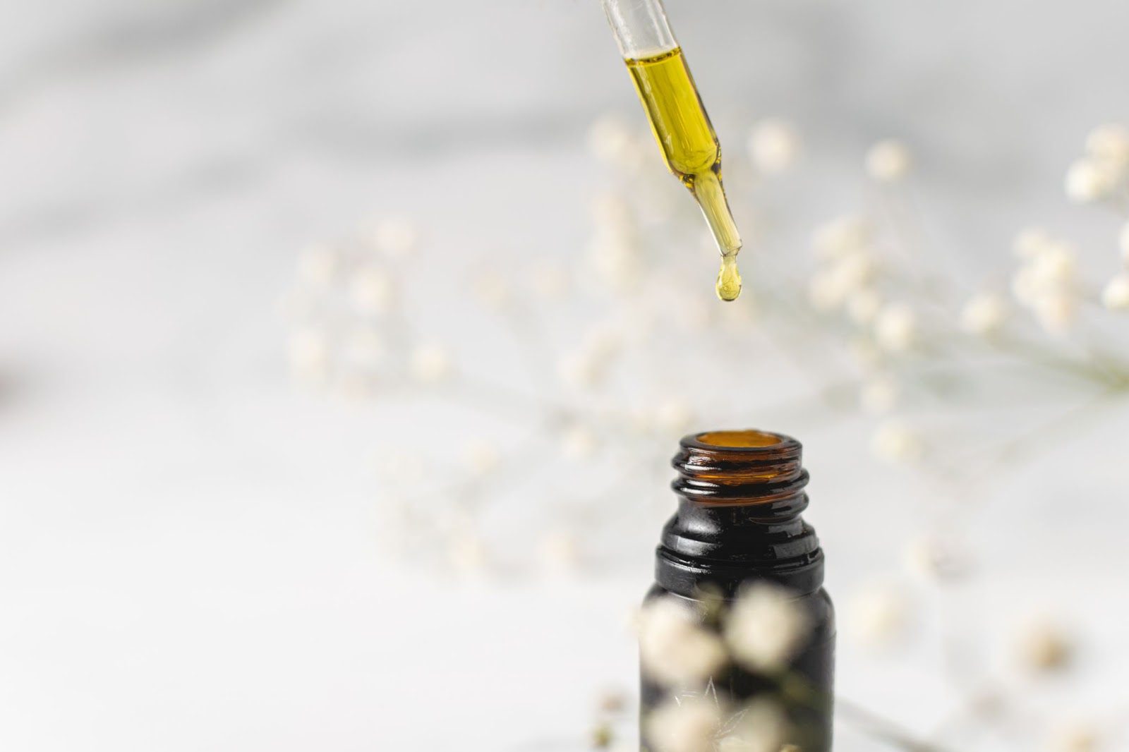 What is Cannabis Sativa Seed Oil?