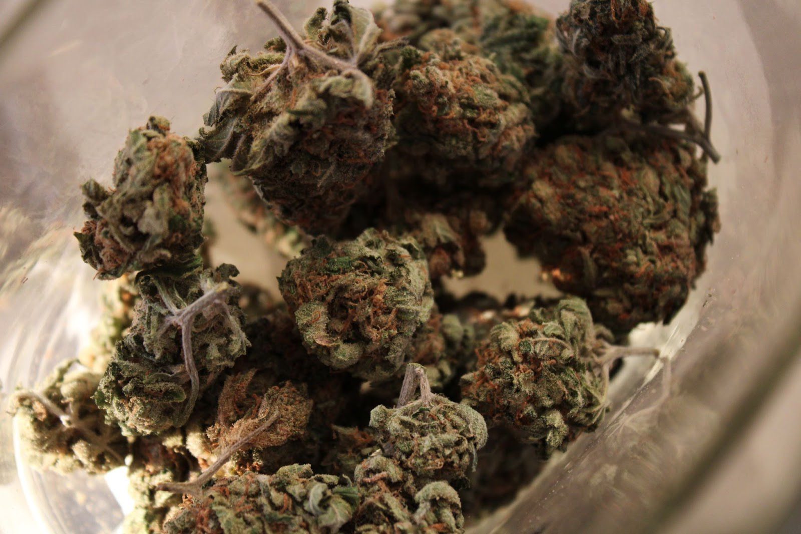 How Long Does Weed Last? 4 Ways To Keep Your Weed Fresh