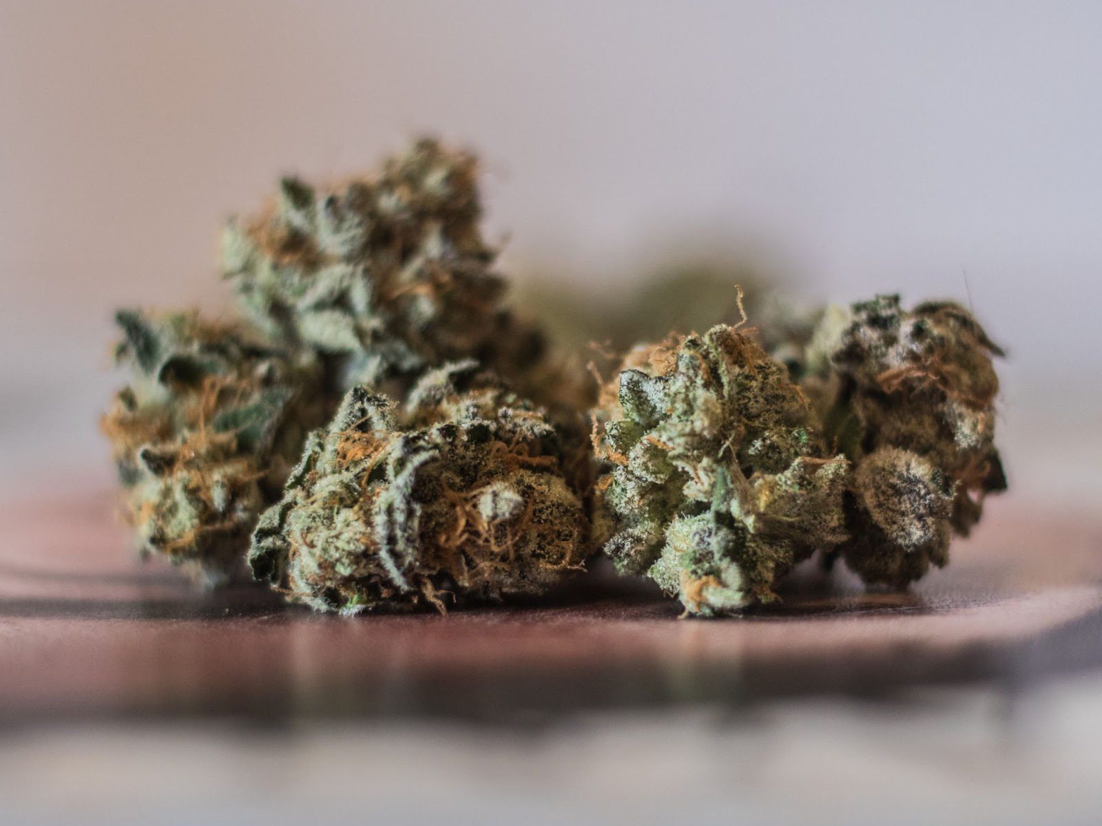 Best Sativa Strains - Our Favorite Sativas At Every Price Point | Emjay