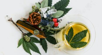 Everything You Need To Know About Weed Drinks