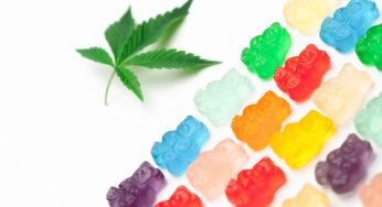 Marijuana Gummies: Our Top 3 Choices for Every Occasion