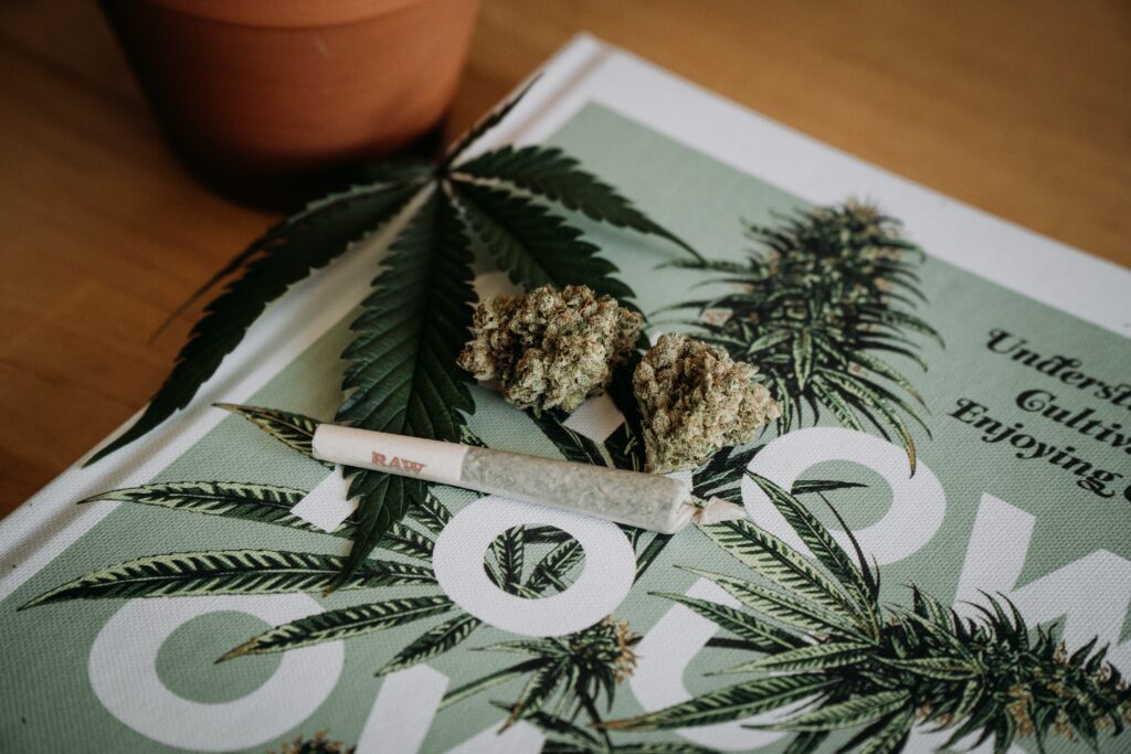 photo by shelby ireland on unsplash_how long does weed stay in your system