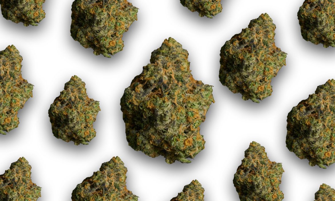Emjay Saul Goodman cannabis_The Smoker’s Club Emjay Saul Goodman cannabis_The Smoker's Club