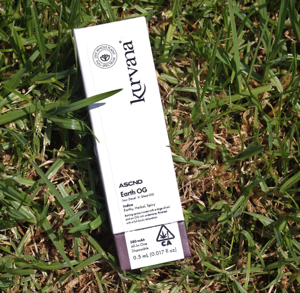 Kurvana_EarthOG_CarrieDabshaw Kurvana_EarthOG_CarrieDabshaw