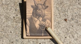 Cannabis Product Review: Bedtime Smokes Preroll Pack from Lowell Farms