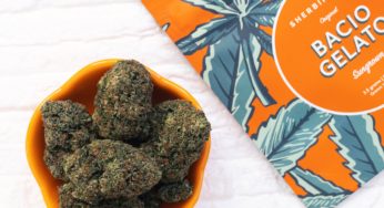Cannabis Product Review: Sherbinskis Bacio Gelato