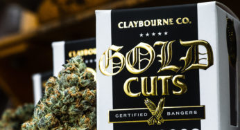 Cannabis Product Review: The Judge Strain From Claybourne Co.’s Gold Cuts
