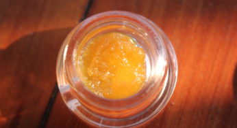 Cannabis Product Review: Ember Valley x Moxie Live Resin Kush Cake Badder