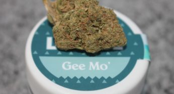 Cannabis Product Review: Leune’s Cloud Berry Sungrown Gee Mo’ Eighth