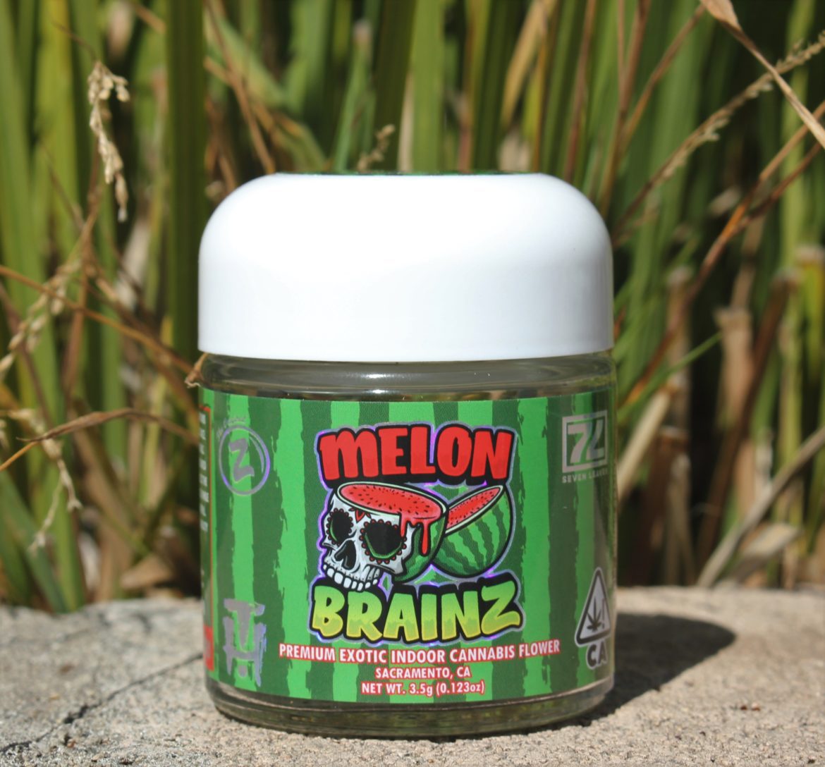 MelonBrainz_Jar_CarrieDabshaw