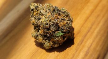 Cannabis Product Review: The Wedding Mintz Flower from Packwoods