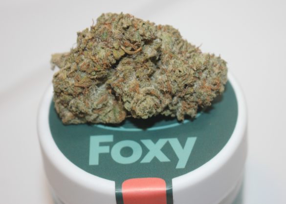 Foxy Ice Cream Sandwich Weed Review from Emjay