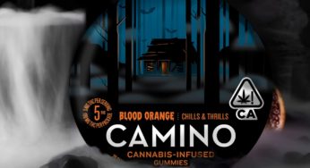 Cannabis Product Review: Camino’s Limited-Edition Blood Orange Halloween Gummies