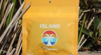 Cannabis Product Review: Island’s Strawberry Banana Quarter Ounce Bag