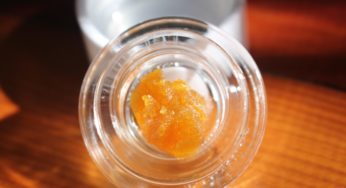 Cannabis Product Review: Apple Fritter Sugar from Utopia