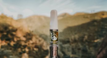 Cannabis Product Review: Himalaya Vanilla Frosting Live Sauce Resin Vape