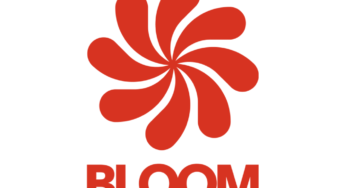 Everything You Need to Know About Bloom