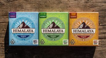 Everything You Need to Know About Himalaya Vapor