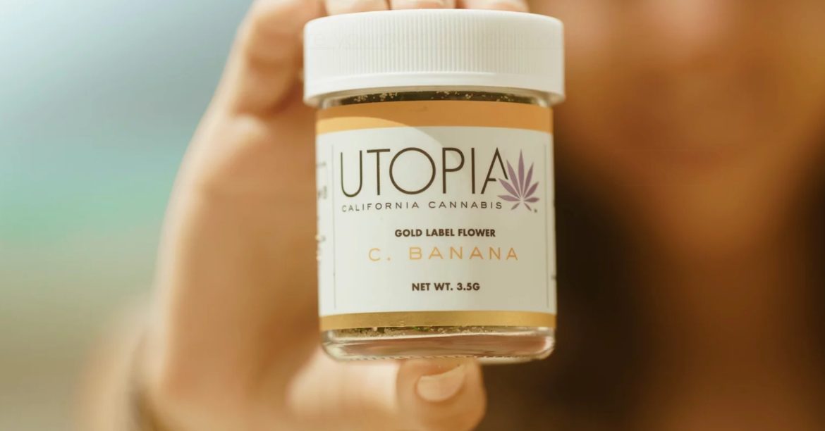 utopia_brandphoto utopia_brandphoto