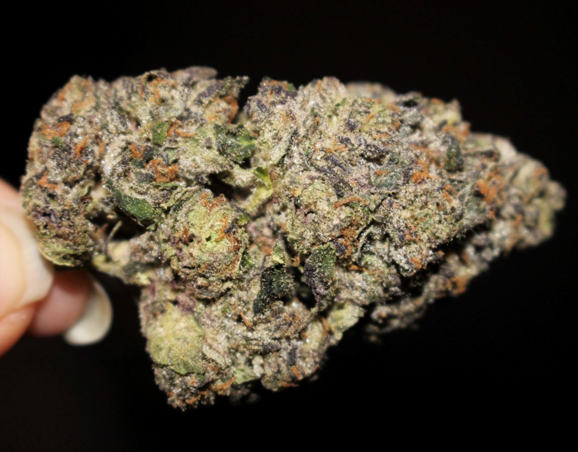 Ace of Spadez_ Cannatique review by Carrie Dabshaw _ Emjay