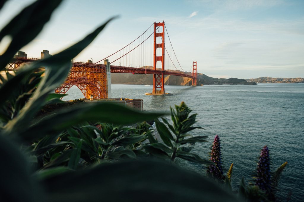 photo by tim foster on unsplash_best things to do while high in san francisco