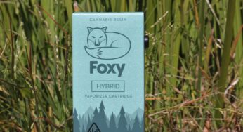 Product Review: Foxy Pope’s Pie 510 Vape