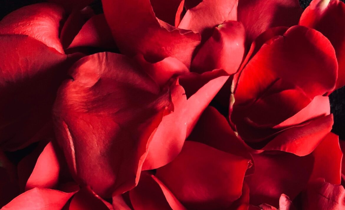 photo by rene porter on unsplash_Best Cannabis for Valentine's, Galentine's, and Singles Appreciation Day