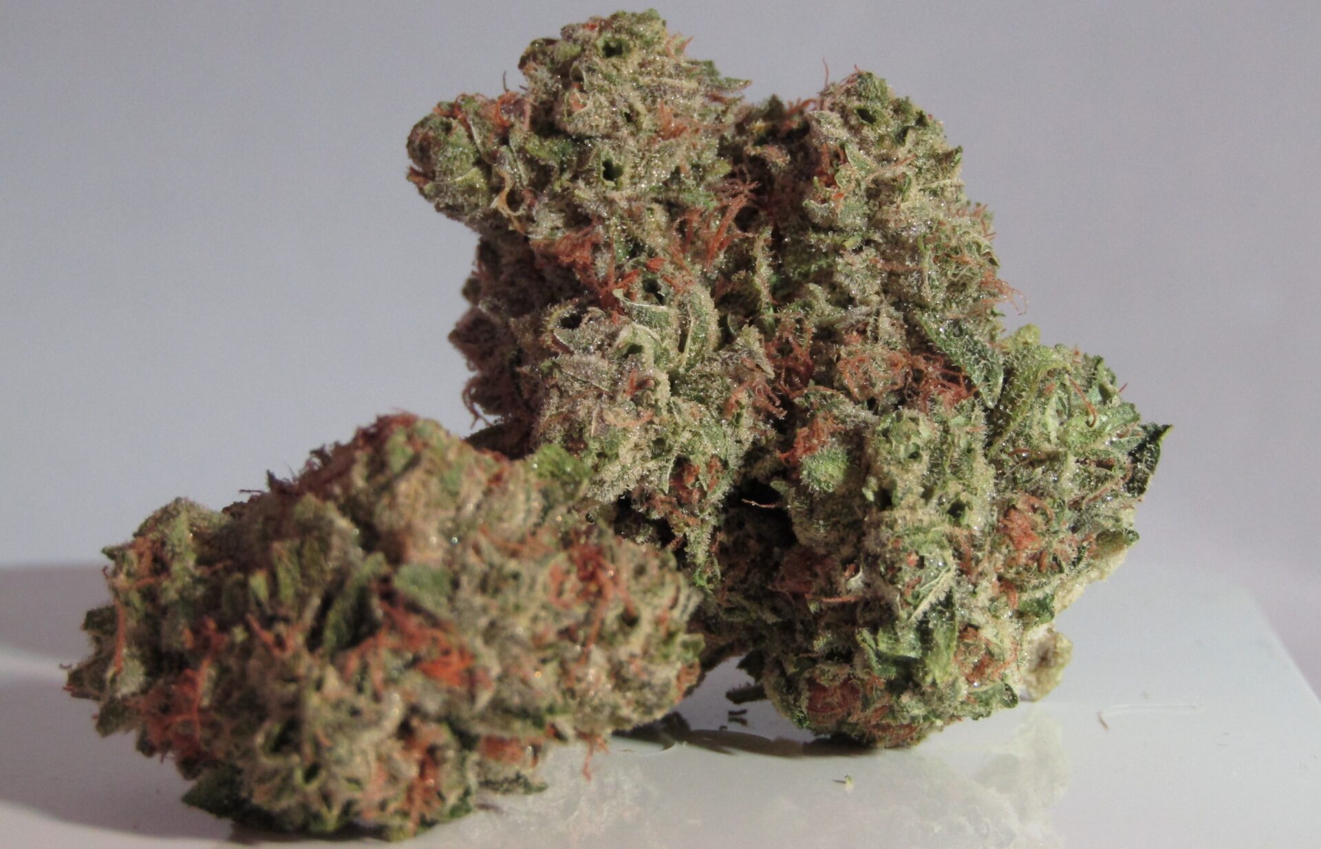 Which Weed Strains have the Highest Recorded THC Percentages? Emjay Blog