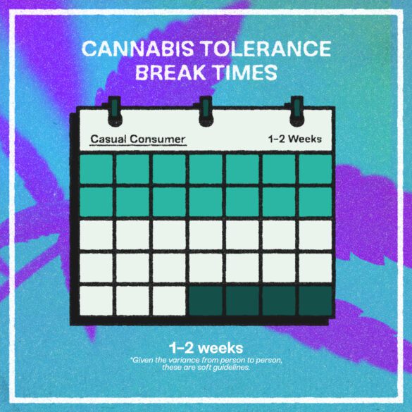 How Long Should a Weed Tolerance Break Be? Emjay Blog